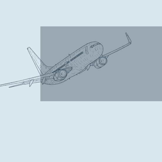 Grafisk illustration af fly