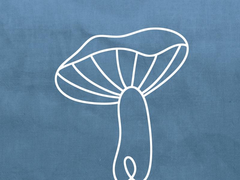 Grafik: bingo 2026 kategori giftig